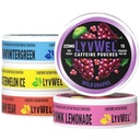 LyvWel 225mg Caffeine Energy Pouches ← Nootropic Focus &amp; Neuro Support ← Tobacco-Free, Nicotine-Free, Quick Energy Solution ← 5-Pack: 60 Pouches (5 Pack, Multi-Pack)