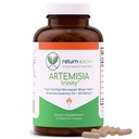 Artemisia Trinidad TENIDO Limpieza para adultos con Wormwood Herb & Artemisininin 30:1 Extracto TENIDO Resistencia " Apoyo Digestivo Silenciosos Suplementos Herbales TEN Pure, Plant-Based, 90 Caps
