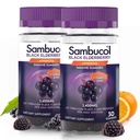 Sambucol Mangas de arándano negro con vitamina C & Zinc - Sambucus Gummies de arándano para soporte inmunitario, Altas Antioxidantes, Gluten Gratis, Vegan, Elderberry con zinc &amp; vitamina C - 30 Conde, 2 Pack