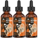 Liposomal Mushroom Complex Drops 2000 MG - 20 extractos orgánicos de hongos - Advanced Liquid Formula for Immunity, Cognitive and Memory - Lions Mane Supplement, Reishi, Cordyceps, Chaga, 90 Servings