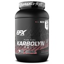 EFX Sports Karbolyn Fuel ← Fast-Absorbing Carbohydrate Powder ← Carb Load, Sostened Energy, Quick Recovery TEN Stimulant Free ← 36 Servings (Kiwi Strawberry)