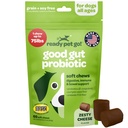 Mandíbulas probióticas para perros Gut Health   Tasty Pre and Probiotics for Dogs Digestive Health with Pumpkin Dog Probiotics and Digestive Enzymes 