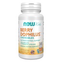 AHORA Suplementos de alimentos, BerryDophilusTM con 2 Billones, 10 Strains Probióticos, Xylitol Endulzado, Verificado de Strain, 60 Chewables, embalaje puede variar
