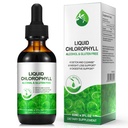 Chlorophyll Liquid Drops 60ml, 100% Natural Organic Liquid Chlorophyll Drops for Body Odor Balance,Fresh Breath, Digestion, Gut Health, Energy, Body Freshness, Peppermint Flavored Fast Absorption