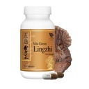 Vita Green Lingzhi Mushroom Capsules for Energy, Memory, and Immune Support – Suplemento Reishi puro con antioxidantes naturales para el bienestar y la energía – 72 cápsulas
