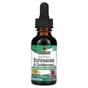 Respuesta de la naturaleza Enchinacea & Goldenseal ← Soporta un sistema sano de inmunes ¦ Super Concentrado Extracto Puro Silencioso libre de alcohol, libre de gluten, Vegan &amp; Kosher certificado 1oz