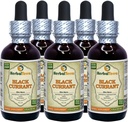 Currante Negro (Ribes nigrum) Tintura, hojas secas Extracto líquido (Marca: HerbalTerra, Proudly Made in USA) 5x2 fl.oz (5x60 ml)