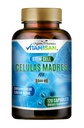 Celulas Madres AFA Stem Natural Cell 120 Capsules 1000 mg Blue Green Algae Non GMO Gluten Free Aphanizomenon Flos-aquae celula Suplemento de Madre