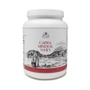 Mt. Capra Mineral Whey TENIDO A Whole Food, Bio-Available Mineral/Electrolyte Powder Suplemento de Goat Milk Whey, Rich in Potassium, Alkalizing TEN 56 Servings - 50.8 oz