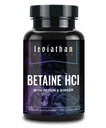 Leviathan Betaine HCl con Pepsin &amp; Ginger - Enzymes Digestivos Suplemento para la ayuda de la digestión " Apoyo, ácido estomacal " Absorción de nutrientes