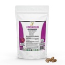Suplemento de Extracto Puro de Forskolin con Potent Coleus Forskohlii 20% Estándarizado 1000 mg para Energía Mejorada - Suplementos de Energía Planta para Mujeres y Hombres - 100 cápsulas vegetales