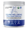 Om Mushroom Matrix - Equine ← Bienestar Silencio EE.UU. Grown Human-Grade Organic Mushroom Powder Show Safe Horse Supplement TEN Wellness, Recovery, " Senior Support  durable 300 Grams, 10.5 oz