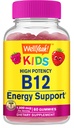 WellSí Vitamina B12 Gummies para niños - Energía de aumento, mejorar la función cerebral y fortalecer el sistema inmunológico - Sin gluten, libre de gluten - Gran sabor de baya de Cata - Fácil de Chew - 60 Gummies