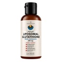 AMANDEAN Liposomal Glutathione Suplemento. Setria reducida líquida 500mg. Apoyo inmunológico, Salud cerebral, Detox hígado, Salud de la piel. Phosphatidylcholine de Non-GMO Sunflower Lecithin. Soy libre de vegano.