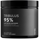 Tribulus Terrestris for Men - Ultra High Potency 25:1 Extracto con 95% de Saponinas - 1300mg Fórmula pura y concentrada - Laboratorio de terceros probado para la pureza y calidad - 240 cápsulas