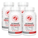 Silver Fern Brand Ultimate Probiótico 4-Pack – Probióticos para Hombres de Mujeres – 8 millones de dólares CFU suplemento de salud de recubrimiento – ADN Verificado, Probiótico, Establo-Stable, Alta Supervivencia – 240 cápsulas