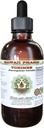 Hawaii Pharm Yohimbe Extracto líquido libre de alcohol, Yohimbe Liquid (Pausinystalia Yohimbe) Barco seco Glycerite Natural Herbal Suplemento, EE.UU. 4 fl.oz