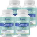 Probióticos para Mujeres y Hombres, 300 millones de millones de francos CFU 24 Strains Probióticos + 15 hierbas orgánicas Prebióticos Blend, Estante Stable Gut Health Supplement for Digestive Immune & Whole-Body Health, 8 Month Supply