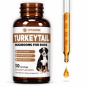 Turquía Tail Mushroom for Dogs ← Ayuda a Boost The Immune System, es un prebiótico saludable, &amp; Mucho más  durable Turquía Tail for Dogs ¦ Mushrooms for Dogs