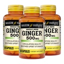 MASON NATURAL Whole Herb Ginger 500 mg, 6 Month Supply, Natural Herbal Suplemento, 60 cápsulas (3 Pack)