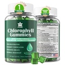 Chlorophyll Gummies - Super Green con Wheat Grass, Sea Moss, ACV " Unfiltered " Elderberry, Echinacea, Zinc Complex " Vitamin D3, C, E, B12 for Natural Deodorant, Immune " Digestion Support, 60 Chews