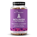 Suplemento Nourish Lactation - Postpartum Support for Healthy Milk Flow &amp; Production - Fenugreek Capsules for Women with Milk Thistle, Fennel Seed & Organic Moringa, 60 Vegan Soft Capsules