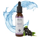 Tesoro enterrado Limphatic Harmony Drops - 2oz, 30 Servings, Lymphatic Suplemento con Cleavers, Burdock, Echinacea, y Astragalus