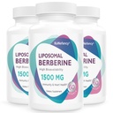 Beberine HCL Suplemento 1500mg - Alta biodisponibilidad Liposomal Berberine Capsules for Women and Men, AMPK Activator for Cardiovascular Health, Sugar-Free, Non-GMO,180 Softgels