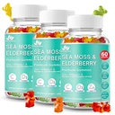 BIO VITALICA Sea Moss Gummies Elderberry BioVitalica - Vitamina C D + Zinc - Irish Seamoss Vegan Gummy with Sea Moss Gel & Powder for Immunity, Detox - for Adults and Kids (3Packs)