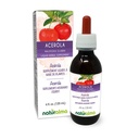 Naturalma Acerola (Malpighia glabra) Fruta Tintura libre de alcohol - Rico en vitamina C - 4 fl oz Extracto líquido en gotas - Suplemento herbal - Vegan