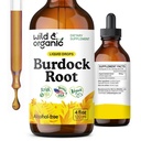 Wild & Organic Burdock Root Tincture - Suplemento líquido para antioxidantes, detox, soporte digestivo - Burdock Root Herb Drops - Vegan, Azúcar &amp; Alcohol-Free - 4 fl oz