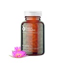 Fórmulas nativas Restaurar 3 Proteolytic Enzyme & Spore Probiotic Blend Suplemento - 60 cápsulas - Advanced Biofilm Disruption Aid - Support GI Health, Fibromyalgia, Gut Flora, Muscle