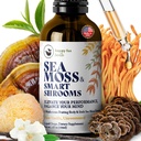 HAPPY FOX Irish Sea Moss Liquid Drops &amp; Mushroom Tincture - Seamoss with 7 Adaptogenic Mushroom Extracts for Cognitive Support " Gut Health, Mushroom Coffee Elixir, Pure Vanilla Flavor