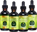 Go Nutrients Cold & Immune Bundle - Selenium, Vitamin D3/K2, Immune Booster, Liquid Chlorophyll – Powerful Support for Immune System, Strengthenings Body Defense, Core and Vitality, Reinforce Respiratory