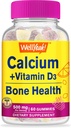 WellSí Calcio 500mg + Vitamina D3 1000 UI (25 mcg) Gummies - Hueso Salud y Supprt, Immune Soporte Gummy, No GMO, Gluten Gratis, Mix Fruit Flavors - 60 Gummies