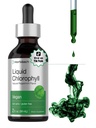 Horbäach Liquid Chlorophyll Drops  2 oz ← Vegan, Non-GMO, y Gluten Free Formula ← Natural Peppermint Flavor