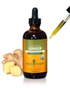 USDA Organic Ginger Root Extract*: Digestion " Circulatory Support ⋅ Ginger Tincture for Occasional Nausea ← Non-Bitter Vegan Digestive Supplement ⋅ 4 Oz, Up to 3 Months Supply