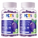 Pets Purest Glucosamine Chondroitin Gummies with MSM & Elderberry Extra Strength - Joint Support, Antioxidant Immune Support Supplement for Adults, Men &amp; Women.(2 Pack) Blueberry