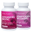Plan Vital Immune Support Suplementos del Dr. Bill Rawls – Immune Boost Bundle w/Japonés Knotweed, Cat’s Claw, Chino Skullcap & Reishi Mushroom
