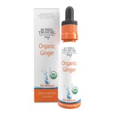 Tesoro enterrado gotas de jengibre - Hecho con raíz de jengibre orgánica para soporte digestivo, submarinas de estómago, sin azúcar, alcohol libre, uso versátil para té de jengibre o consumo directo, 30 servicios