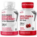 Fusiones de la naturaleza Nutri Dihydroberine (60 cápsulas) " Urolithin A Diacetate 500mg Energy Booster Suplemento
