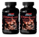 píldoras para hombres sexo largo y fuerte - TRIBULUS TERRESTRIS EXTRACT 1000MG - MUSCLE STRENGTH, impulsor de fertilidad masculina, píldoras libido masculinas, píldoras sexuales masculinas, realce masculino, impulsor de resistencia, 2B 120 Tablets