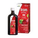 Hübner Iron Vital Liquid Iron Supply Plus Vitamina C, Suplemento dietético para adultos y niños, Vegan y Sin gluten, Sabor de frutas, 250 ml Botella, 25 Servimientos