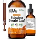 Wild &amp; Organic Stinging Nettle Leaf Extract Drops - Urinary Tract Support - Liquid Stinging Nettle Supplement - Urtica Dioica Tincture - 2-Month Supply - Vegan, Sugar &amp; Alcohol-Free - 2 fl oz