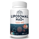 1600 mg Suplemento Liposomal NAD, 98% Suplemento puro NAD+, Absorción Superior, Alternativa a Nicotinamide Riboside o NADH para Boost NAD+ for Aging Defense, Energy, Longevity,60 Softgels