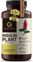 Premium Quality Costus Igneus (Insulin Plant) Capsules - Fácil de Tragar 240 cápsulas Veggie (2 Month Supply) - Hecho en los EE.UU. - Incluido Programa completo de asistencia sanitaria