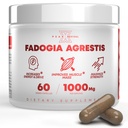 Fadogia Agrestis 1000mg Por Serving Suplemento - Potent Extract to Increase Energy, Athletic Performance &amp; Muscle Mass - Suplementos, Hecho en Estados Unidos (60 cápsulas)