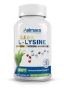 Palmara Health Clean L-Lysine 600mg, 120 Capsules peru Vegan, Non-GMO, &amp; Gluten Free