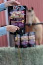 Flaxen Flow 3 L, 100% Flax Seed Oil for Horses, Rich in Omega-3 y Omega-6 Fatty Acids