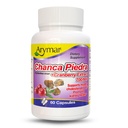 Arymar Chanca Piedra con arándano – Herbal Support for Urinary Wellness & Kidney Function (60 capsules)